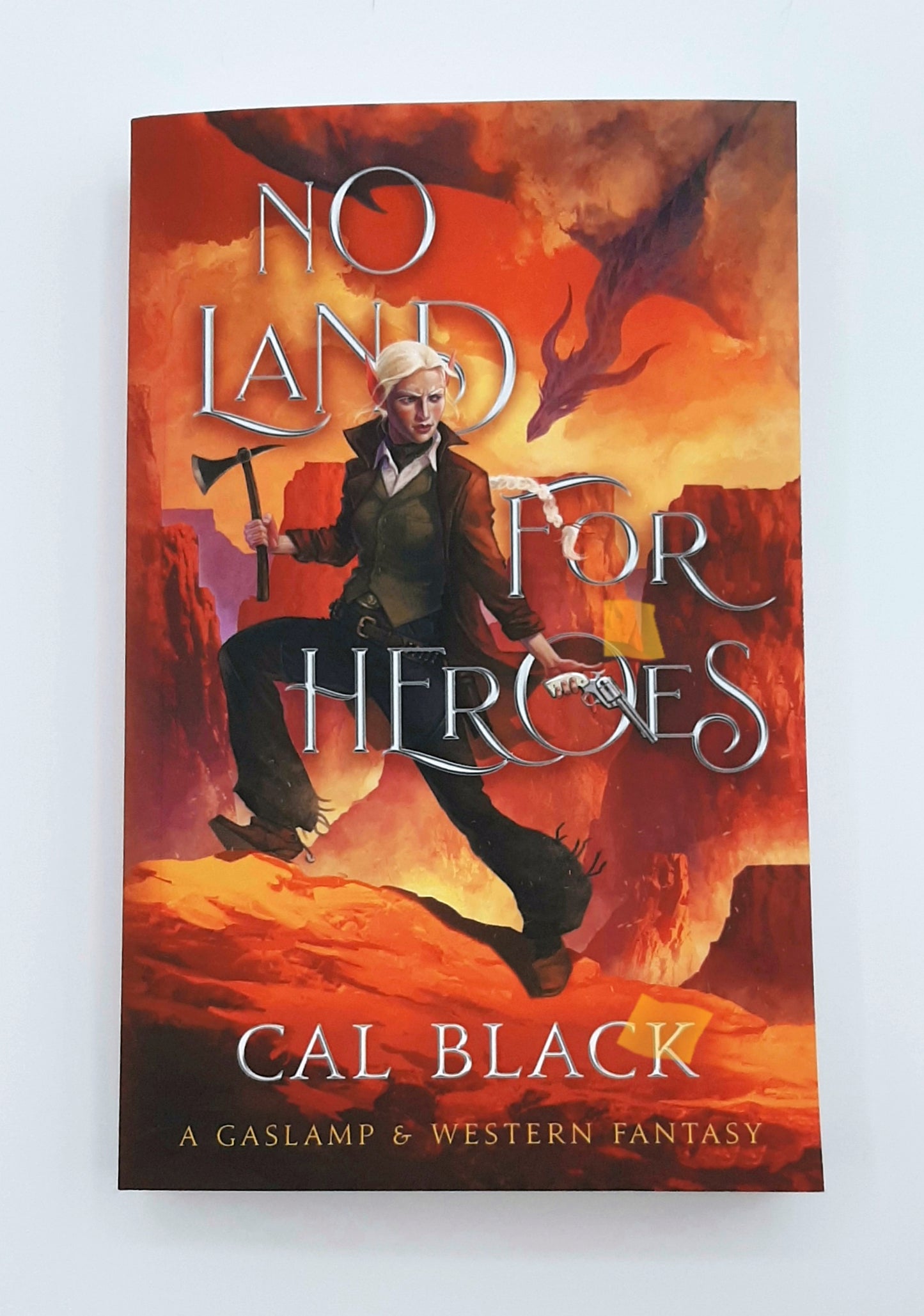 No Land for Heroes: Signed Paperback